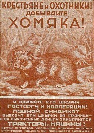 Агитплакат СССР - добывайте хомяка!