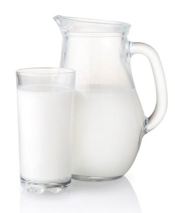молочные продукты для грызунов вредна